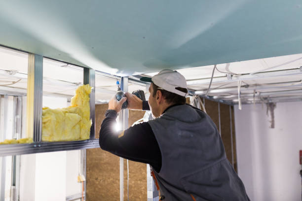 Best Geographic-Specific Insulation Services in Mahanoy City, PA